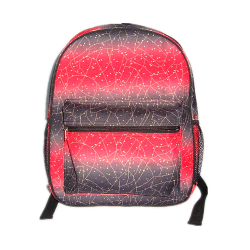 JS-BP004-Ludis Backpack